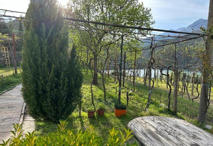 پانسیون Lakeview Escape Koman