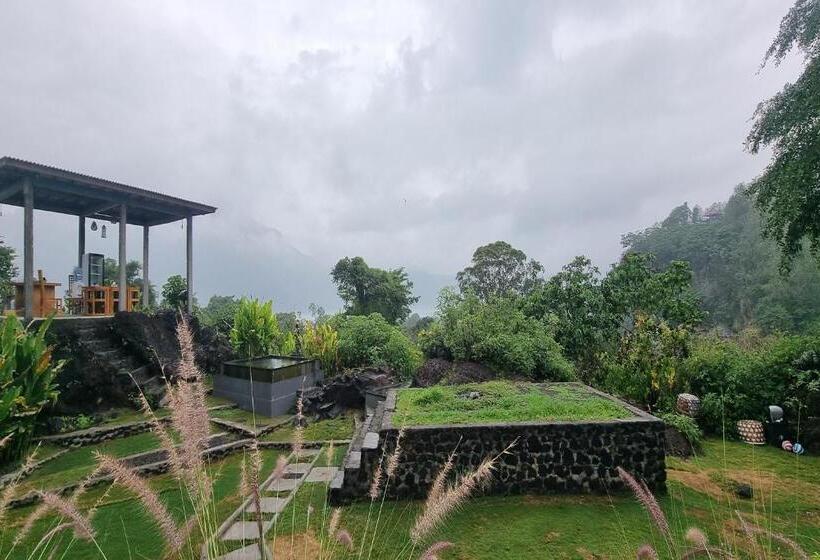 פנסיון Onion Garden And Natural Hotspring