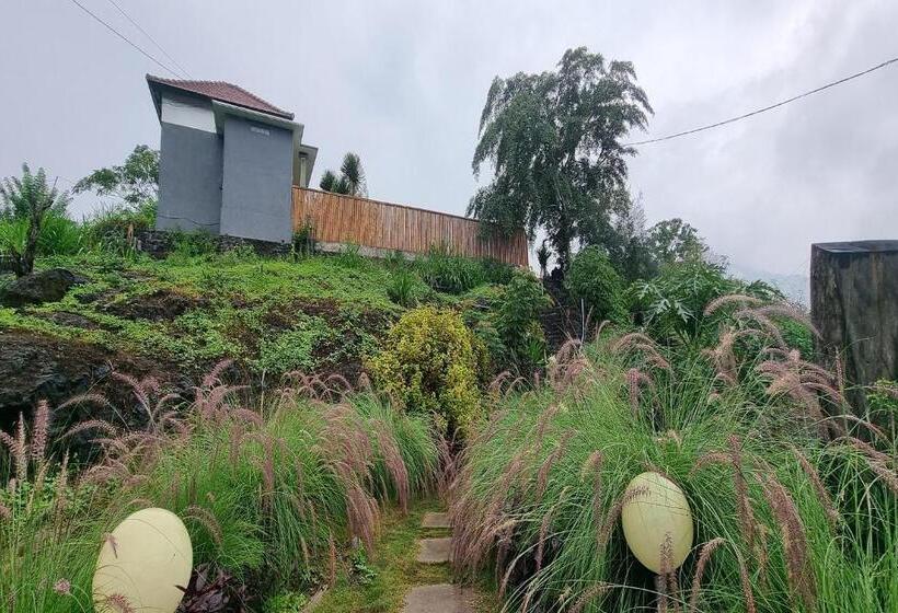 膳宿费 Onion Garden And Natural Hotspring