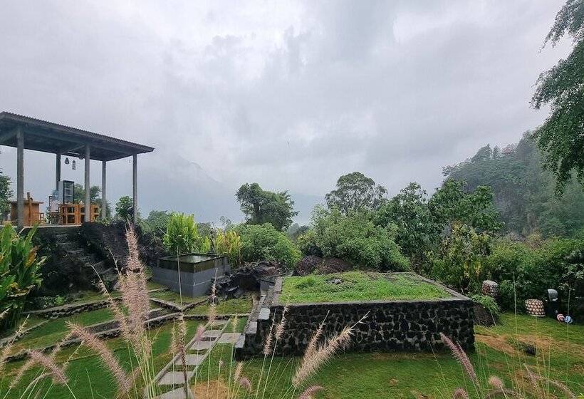 膳宿费 Onion Garden And Natural Hotspring