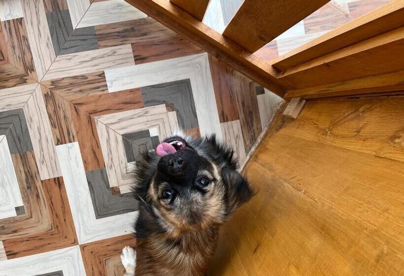 Pension (Hôtel basse catégorie) Stay In Woods