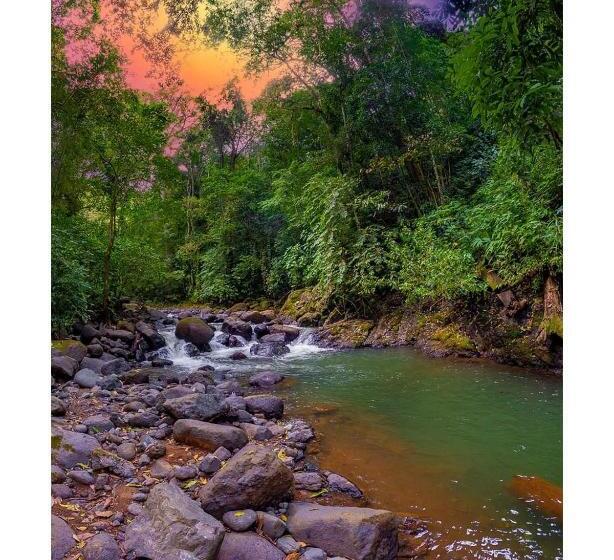 مبيت وإفطار Villa Simone French Ecolodge