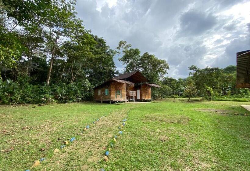Ecogreen Hotel   San Cipriano