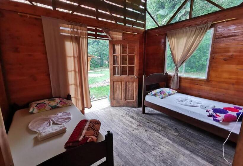 Ecogreen Hotel   San Cipriano