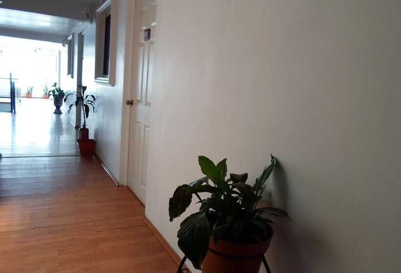 فندق María Bonita