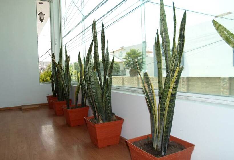 فندق María Bonita