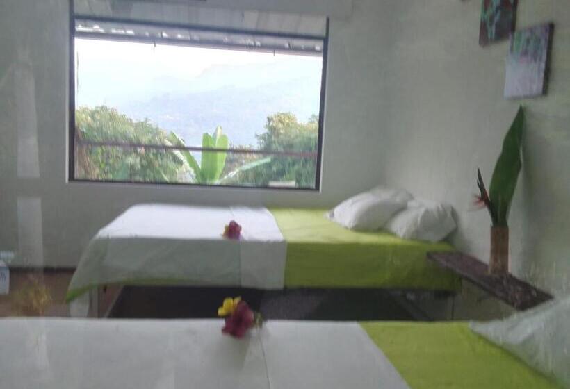 酒店 Oassis Conexion Sin Fronteras