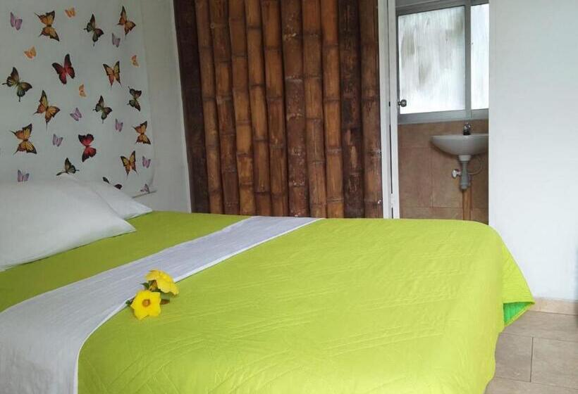 酒店 Oassis Conexion Sin Fronteras