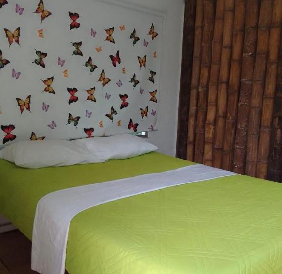 酒店 Oassis Conexion Sin Fronteras