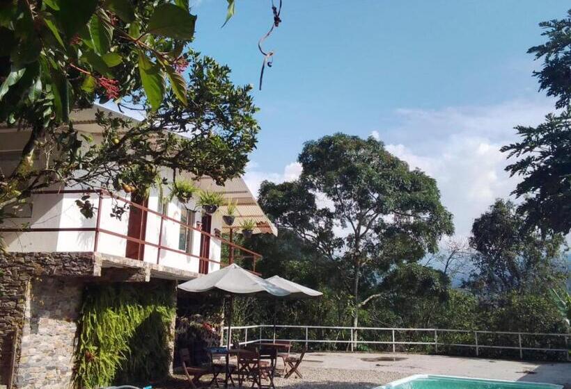 酒店 Oassis Conexion Sin Fronteras