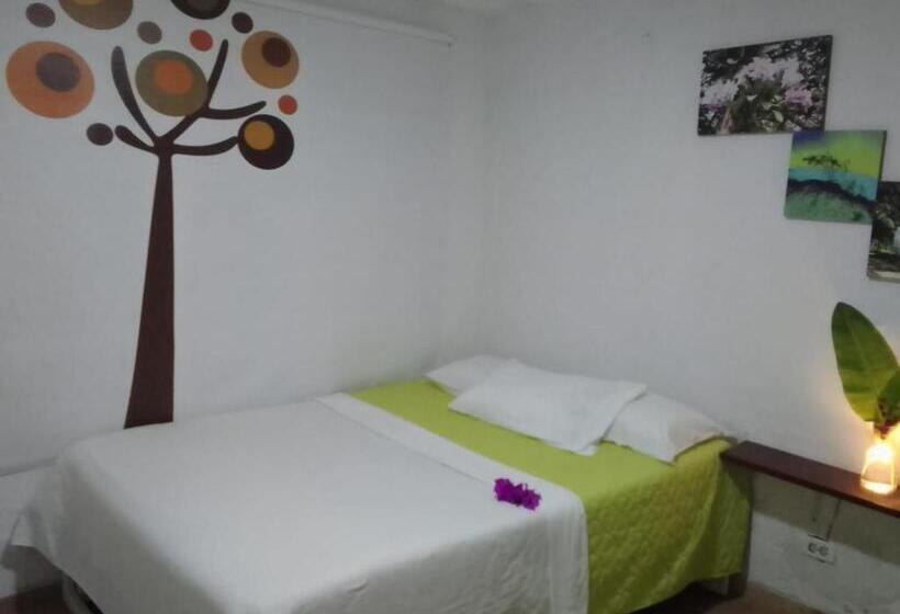 酒店 Oassis Conexion Sin Fronteras