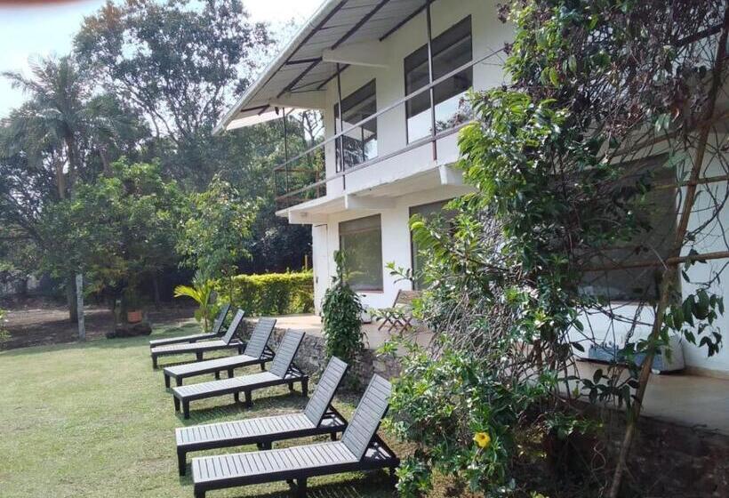 酒店 Oassis Conexion Sin Fronteras