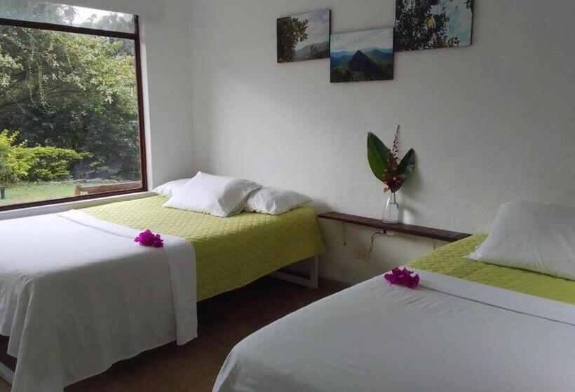 酒店 Oassis Conexion Sin Fronteras