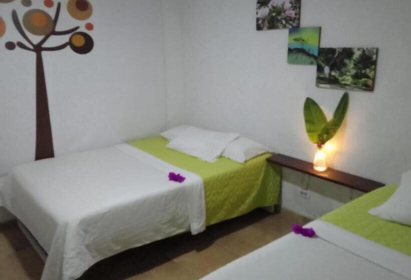 酒店 Oassis Conexion Sin Fronteras