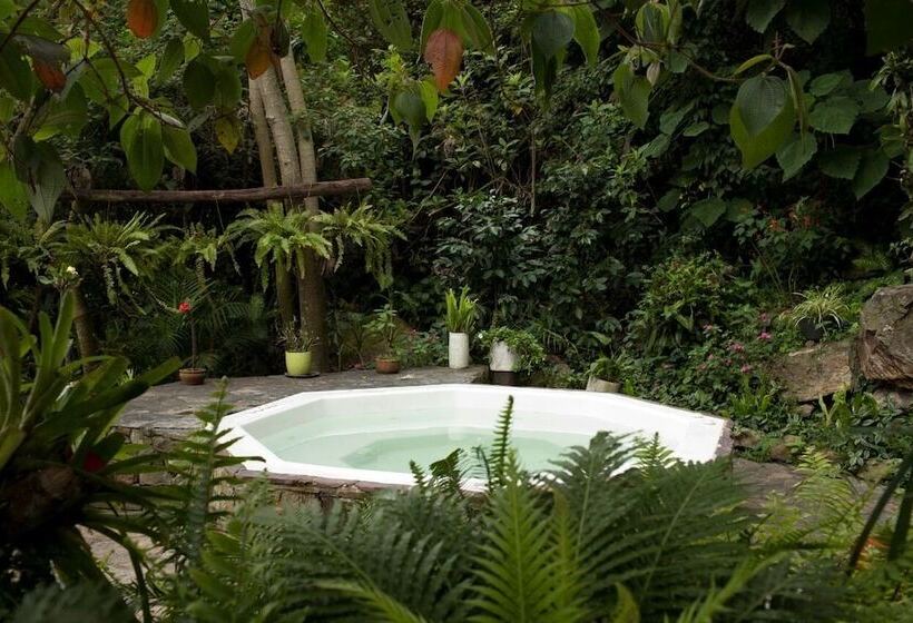 בית מלון כפרי Oassis Conexion Sin Fronteras