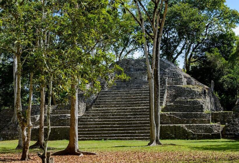 בית מלון כפרי The West House Boutique