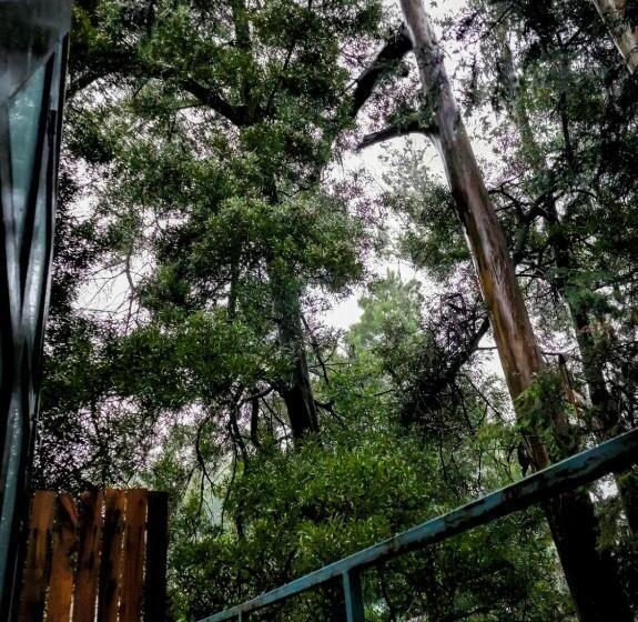 酒店 Woodside Bungalow1