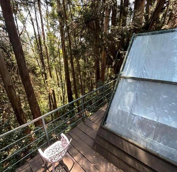 酒店 Woodside Bungalow1