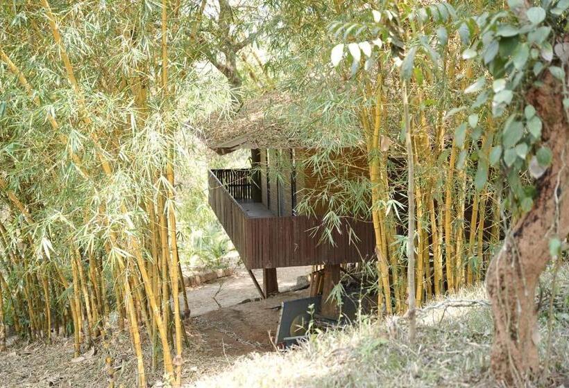 بنسيون Misty Night Jungle Side Resort