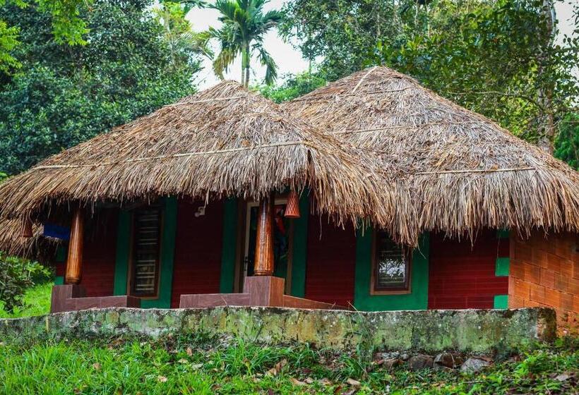 بنسيون Misty Night Jungle Side Resort