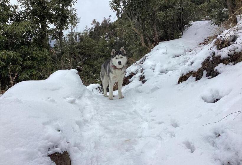 ベッドアンドブレックファースト Pine Cottage