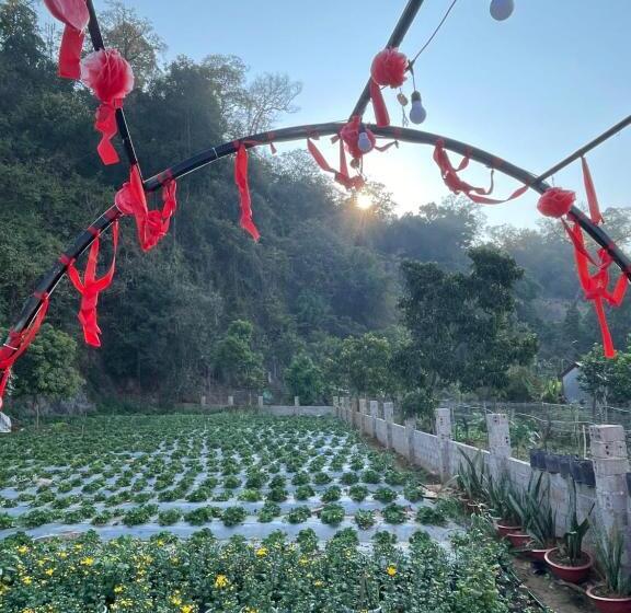 هتل Mộc Homestay