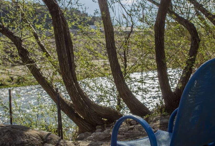 בית מלון כפרי Oasis