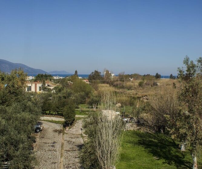 בית מלון כפרי Oasis