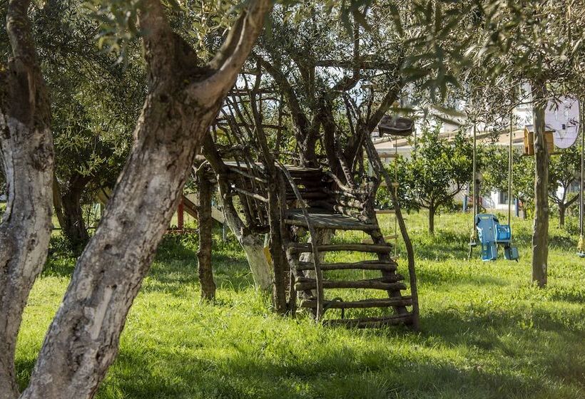 בית מלון כפרי Oasis