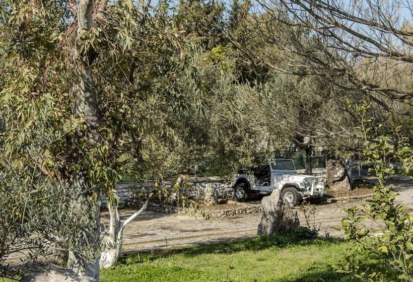 בית מלון כפרי Oasis