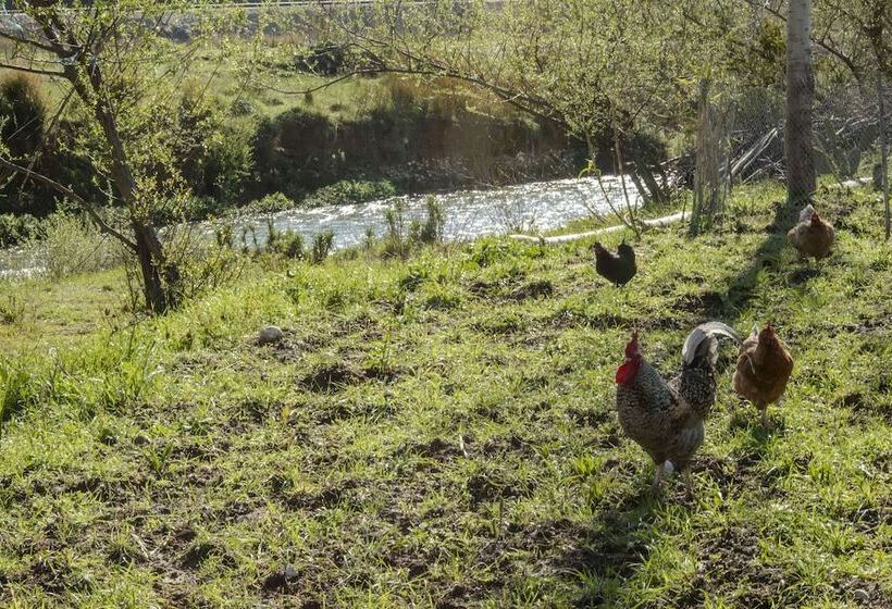 בית מלון כפרי Oasis