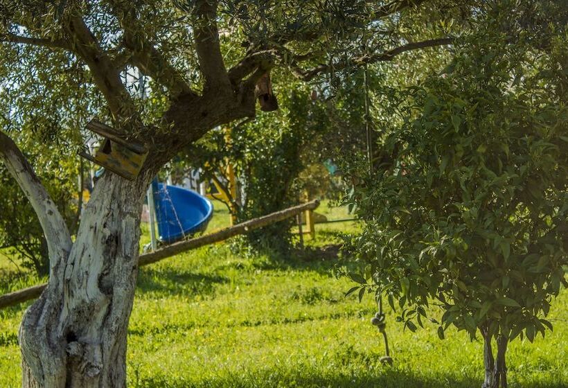 בית מלון כפרי Oasis