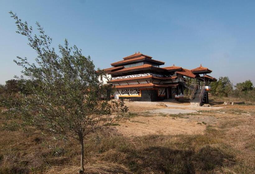 酒店 Olive Branch Farm