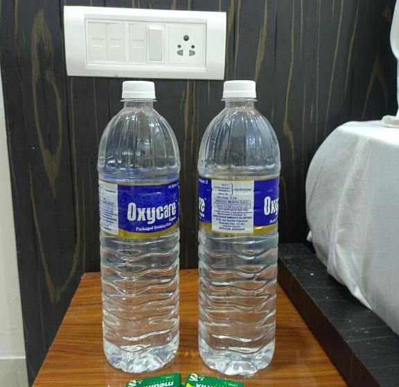 فندق Paradise Inn