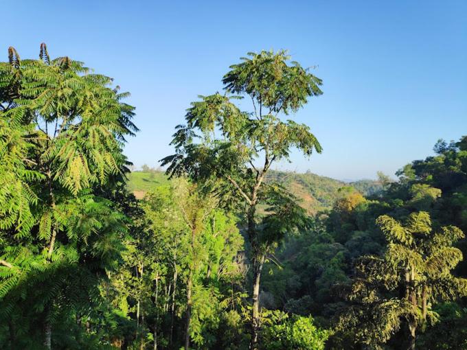 膳宿费 Cardamom Rock Inn Holidays