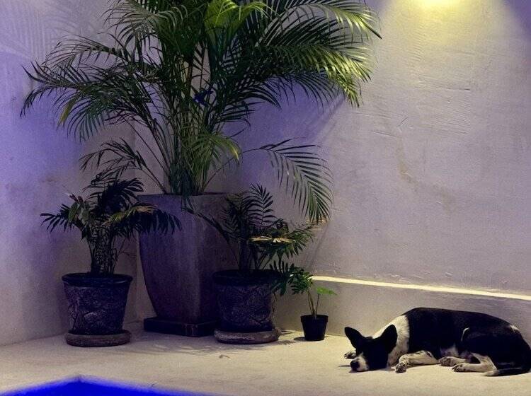 Отель Casa Prisca