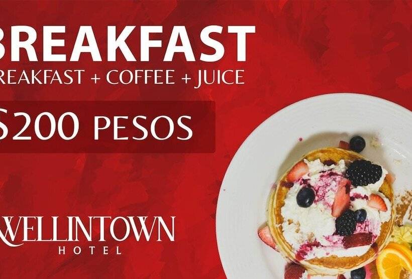 Отель Wellintown