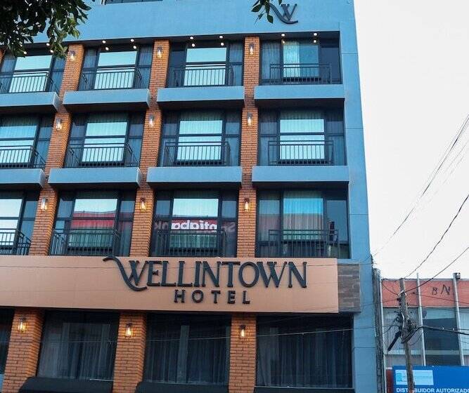 Отель Wellintown