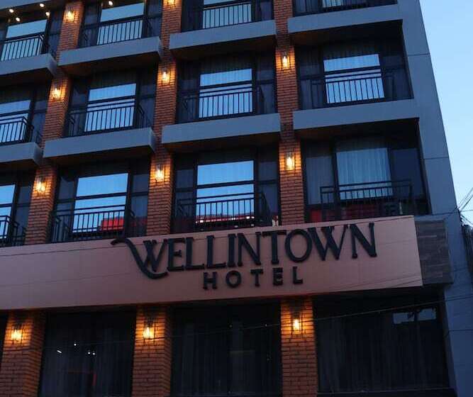 Отель Wellintown