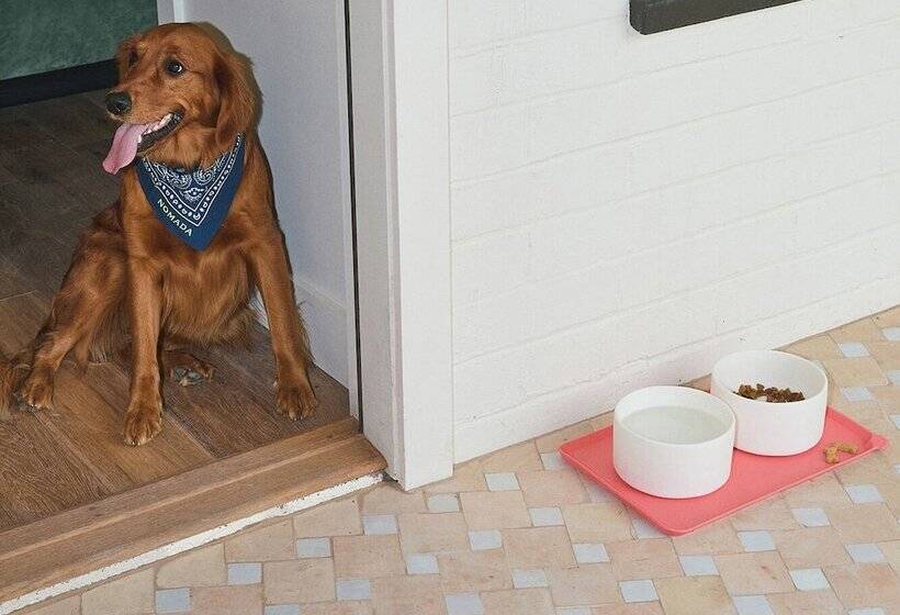 فندق River Lodge Paso   21 & Over Pool