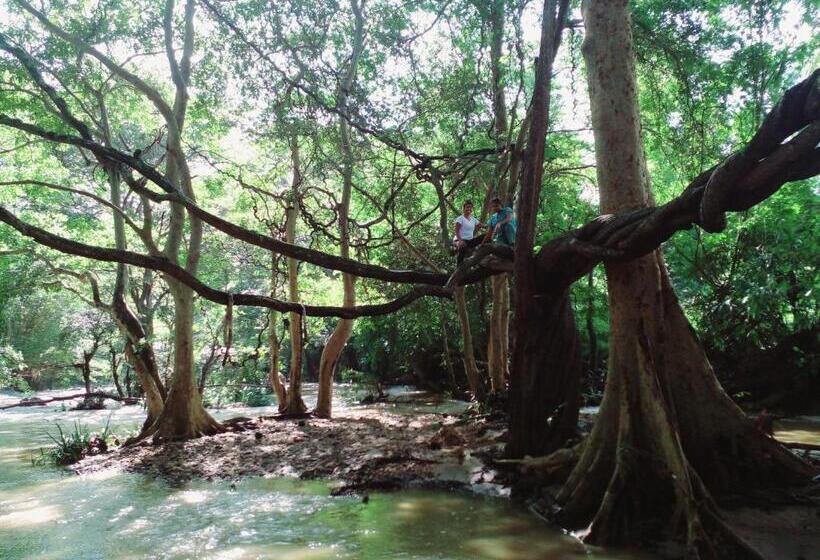 ホテル River View Safari Cottage