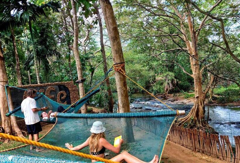 ホテル River View Safari Cottage