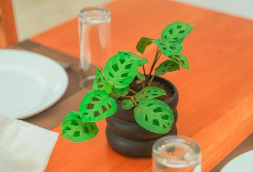 Mount End Hotel Nuwara Eliya