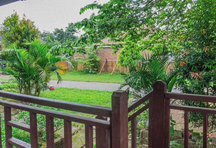 פנסיון Puncak Rinjani Lodge