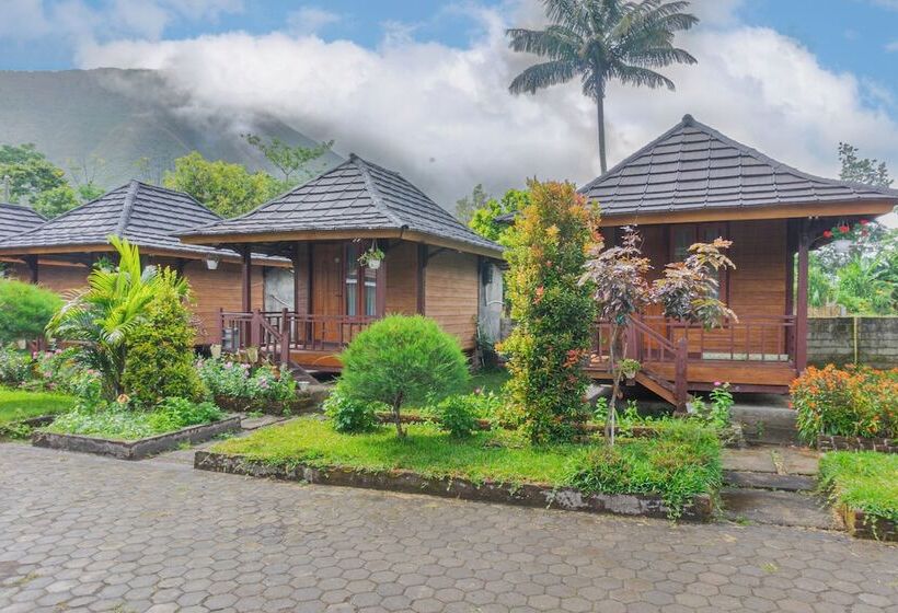 פנסיון Puncak Rinjani Lodge