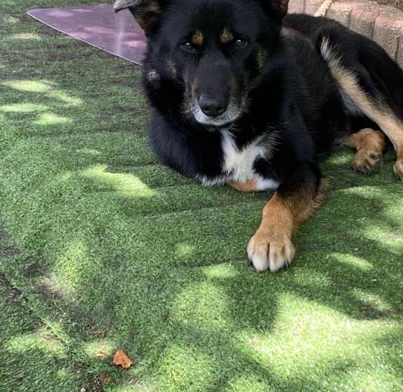 فندق New Chikusuisou