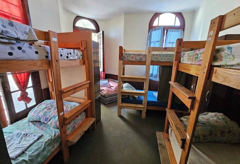 پانسیون Montevideo Hostel