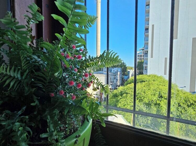 پانسیون Montevideo Hostel