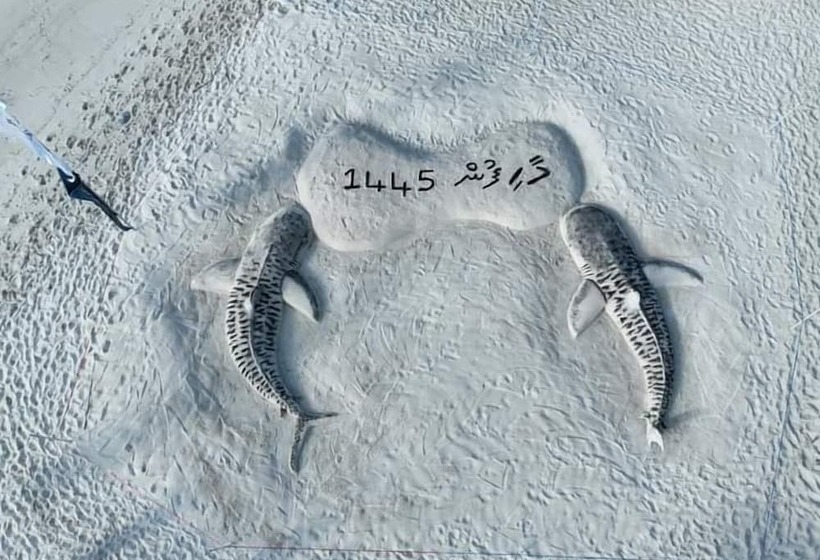 پانسیون Secret Escape