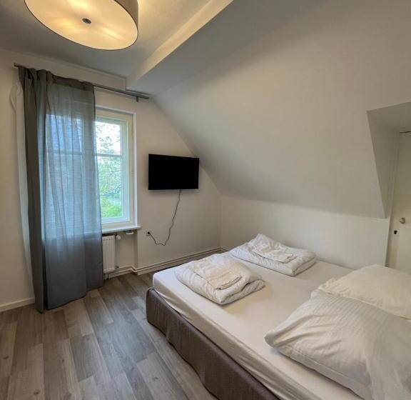 تختخواب و صبحانه King David Garden